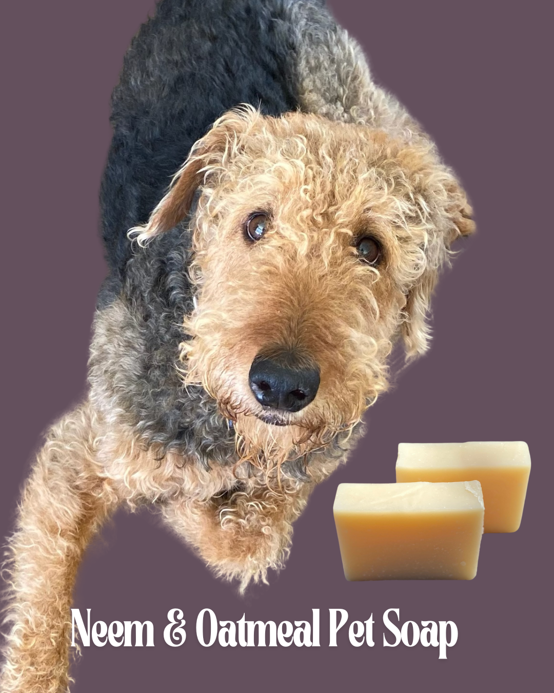 Bark-Worthy Baths: The Joys and Challenges of Washing Your Pet (And Why Natural Soap Bars Are a Game-Changer
