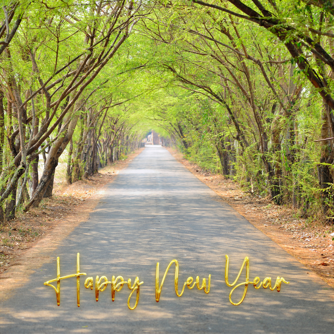 Happy New Year over a tree filled path pointing to the future.