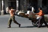 India: The Journey Begins