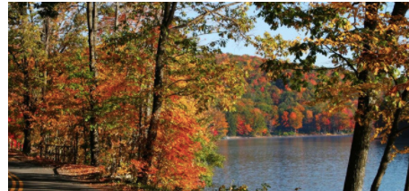 Trees leaves changing color during the Autumnal Equinox