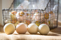 Bath Bomb Gift Set | Natural Handmade Bath Bombs — 5 Pack