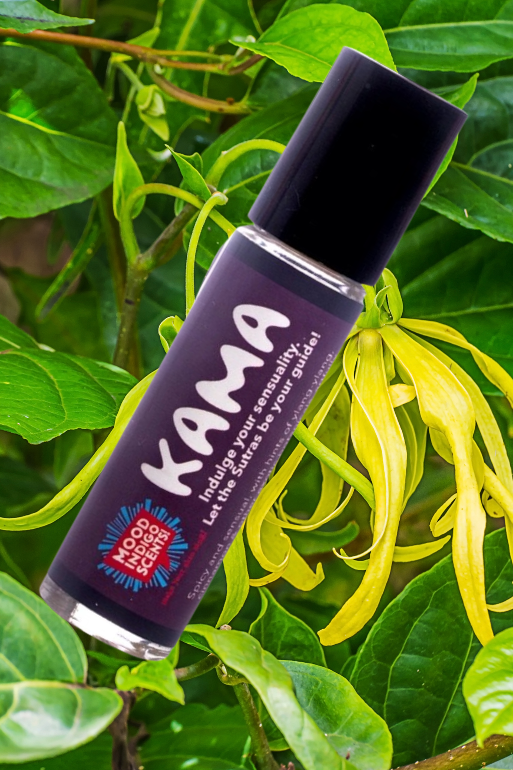 KAMA Roll on perfume on top of Ylang Ylang flower. Exotic adn alluring