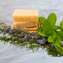 Shampoo bar with rosemary and mint for all hair types